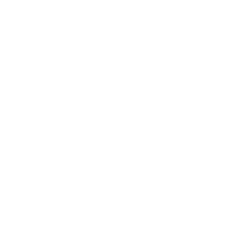 1001 Paws